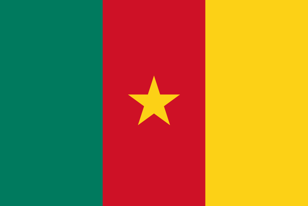 Cameroon Flag - Country Flags DTF Transfers ready2transfer