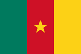 Cameroon Flag - Country Flags DTF Transfers ready2transfer