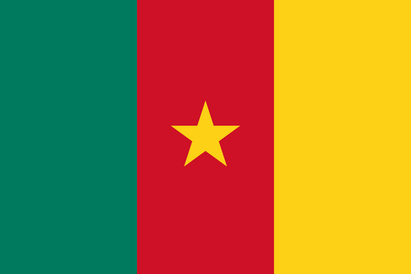 Cameroon Flag - Country Flags DTF Transfers