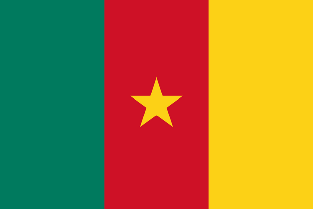 Cameroon Flag - Country Flags DTF Transfers ready2transfer