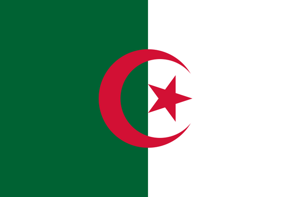 Algeria Flag - Country Flags DTF Transfers