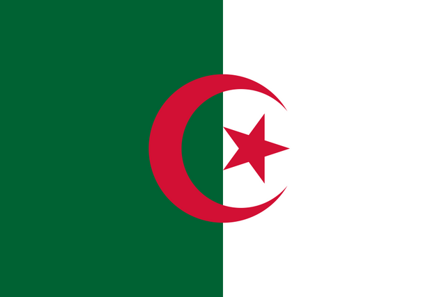 Algeria Flag - Country Flags DTF Transfers ready2transfer