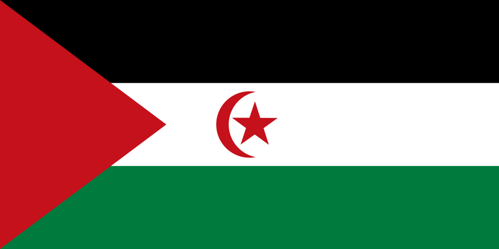 Sahrawi Arab Democratic Republic Flag - Country Flags DTF Transfers ready2transfer