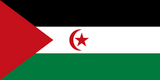 Sahrawi Arab Democratic Republic Flag - Country Flags DTF Transfers ready2transfer