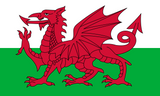 Wales Flag - Country Flags DTF Transfers ready2transfer
