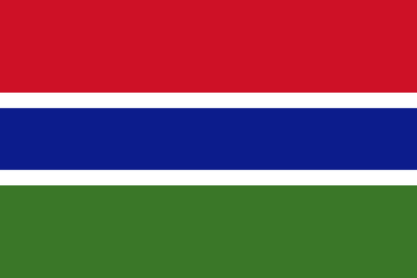 Gambia Flag - Country Flags DTF Transfers