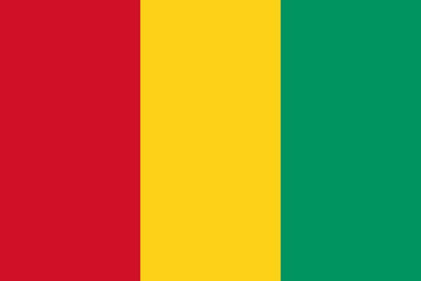 Guinea Flag - Country Flags DTF Transfers