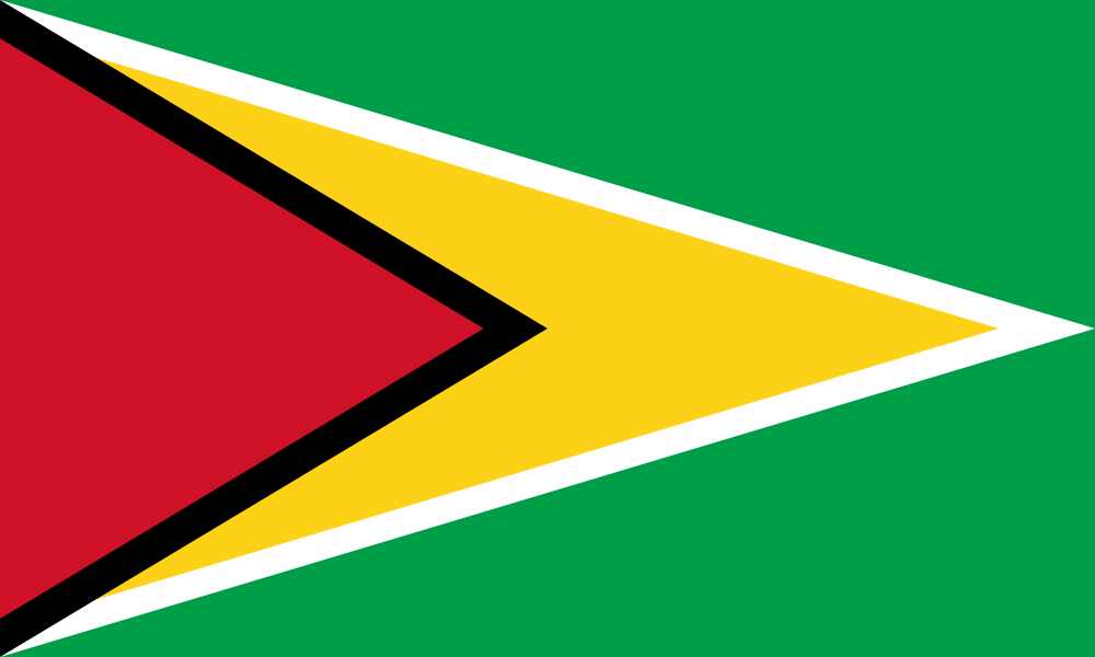 Guyana Flag - Country Flags DTF Transfers ready2transfer