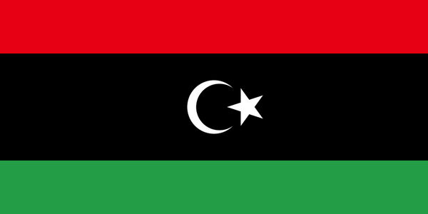 Libya Flag - Country Flags DTF Transfers