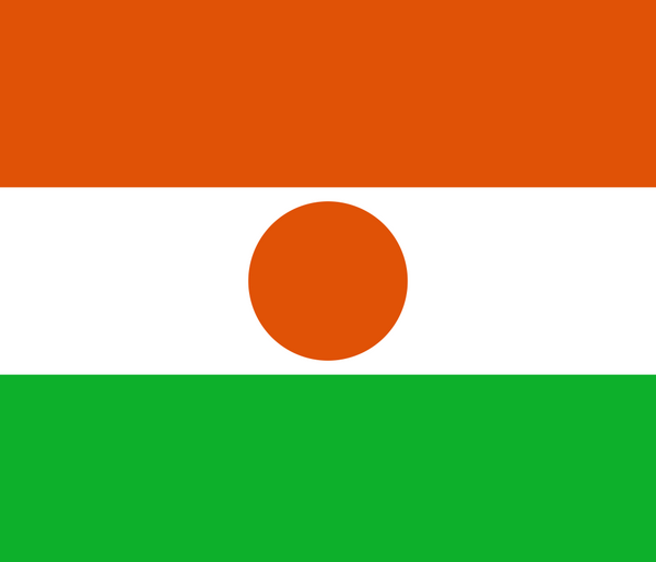 Niger Flag - Country Flags DTF Transfers