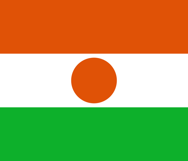 Niger Flag - Country Flags DTF Transfers ready2transfer