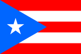 Puerto Rico Flag - Country Flags DTF Transfers ready2transfer