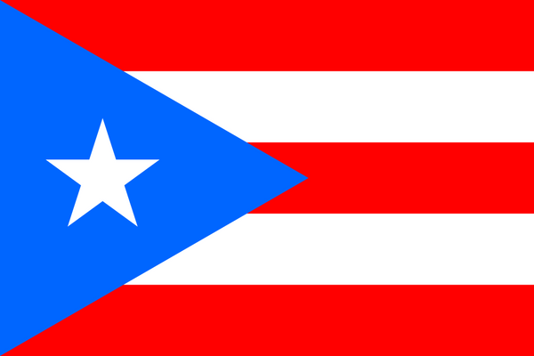 Puerto Rico Flag - Country Flags DTF Transfers