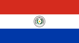 Paraguay Flag - Country Flags DTF Transfers ready2transfer