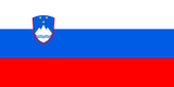 Slovenia Flag - Country Flags DTF Transfers ready2transfer