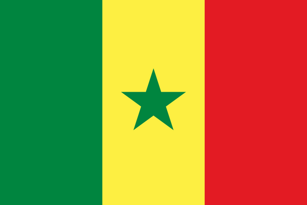 Senegal Flag - Country Flags DTF Transfers