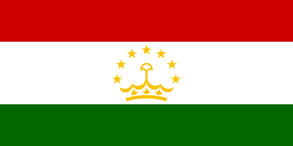 Tajikistan Flag - Country Flags DTF Transfers