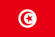 Tunisia Flag - Country Flags DTF Transfers ready2transfer