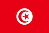Tunisia Flag - Country Flags DTF Transfers ready2transfer