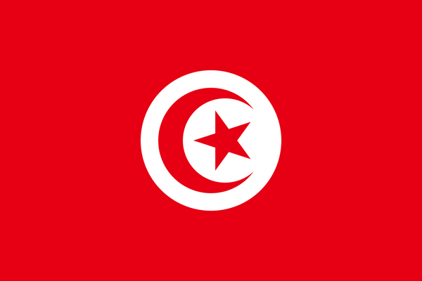 Tunisia Flag - Country Flags DTF Transfers