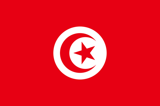 Tunisia Flag - Country Flags DTF Transfers ready2transfer