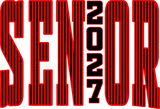Senior 2027 Red Stripes - Senior DTF Transfers