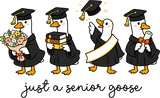 Just A Senior Goose - Senior DTF Transfers