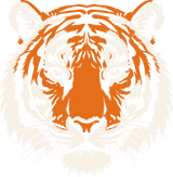 Tiger Face - Animals DTF Transfers