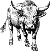 Bull B&W - Animals DTF Transfers