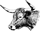 Bull B&W Design - Animals DTF Transfers