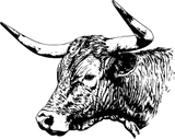 Bull B&W Design - Animals DTF Transfers
