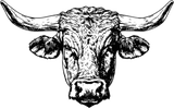 Bull B&W Face - Animals DTF Transfers