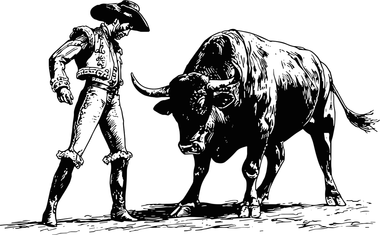 Matador & Bull - Animals DTF Transfers