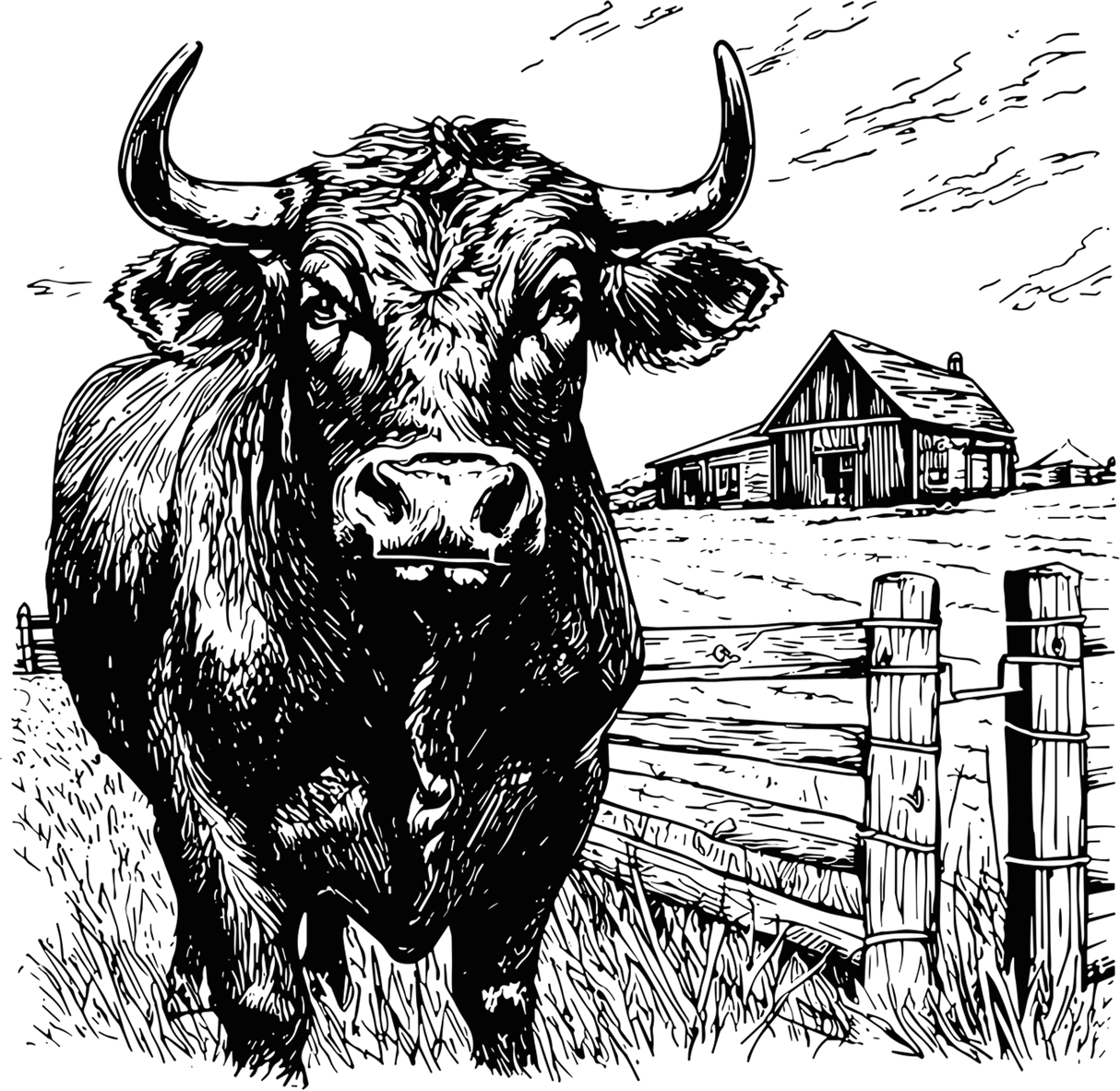 Bull In Farm - Animals DTF Transfers