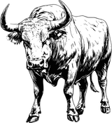 Bull Standing - Animals DTF Transfers
