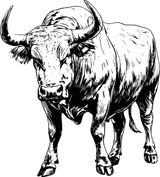 Bull Standing - Animals DTF Transfers