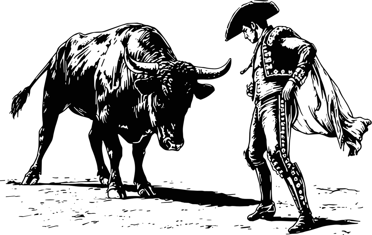 Bull And Matador B&W - Animals DTF Transfers