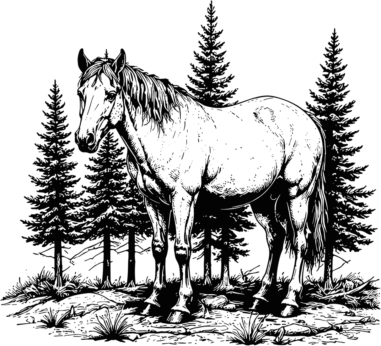 Horse In Wild - Animals DTF Transfers
