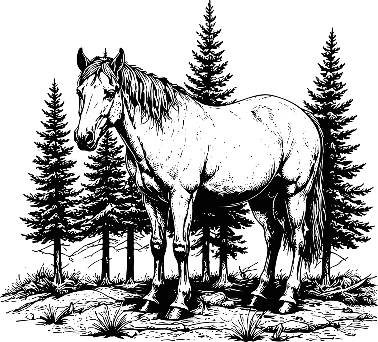 Horse In Wild - Animals DTF Transfers