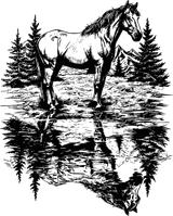 Horse Reflection - Animals DTF Transfers