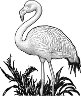 Flamingo B&W - Animals DTF Transfers