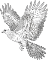 Eagle B&W - Animals DTF Transfers