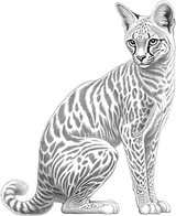 Serval Cat B&W - Animals DTF Transfers