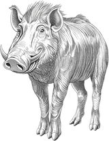 Warthog B&W - Animals DTF Transfers