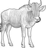 Wildebeest B&W - Animals DTF Transfers