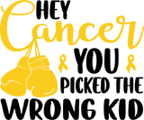 Hey Cancer You Picked The Wrong Kid - Childhood Cancer DTF Transfers