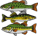 Bass - Fishing DTF Transfers