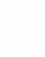 No Game No Gain - Video Games DTF Transfers