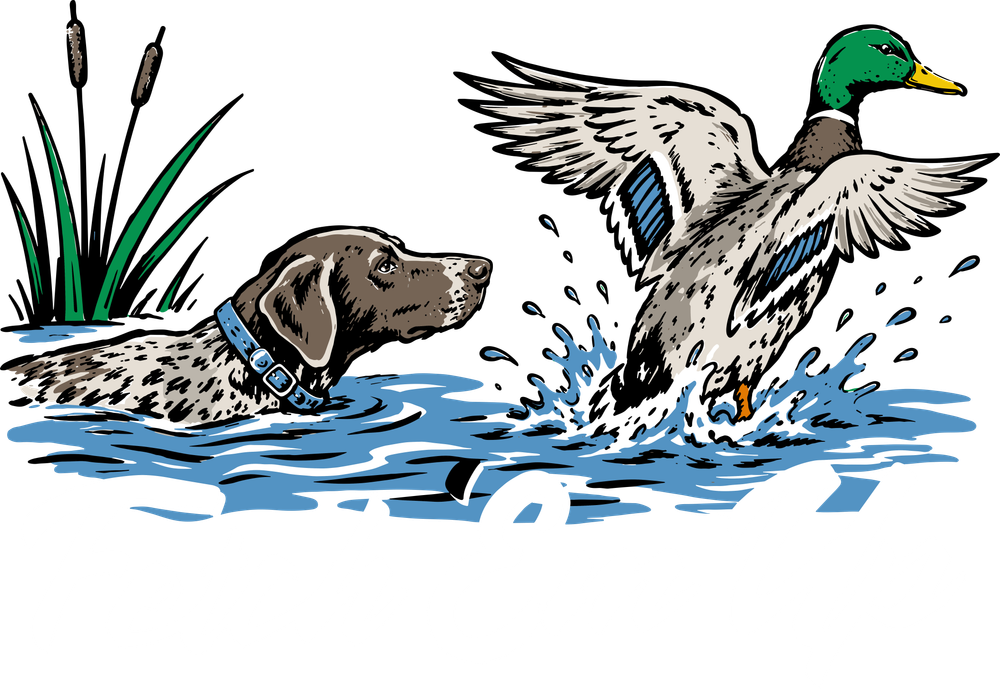 Fetch 'Em Up - Hunting DTF Transfers