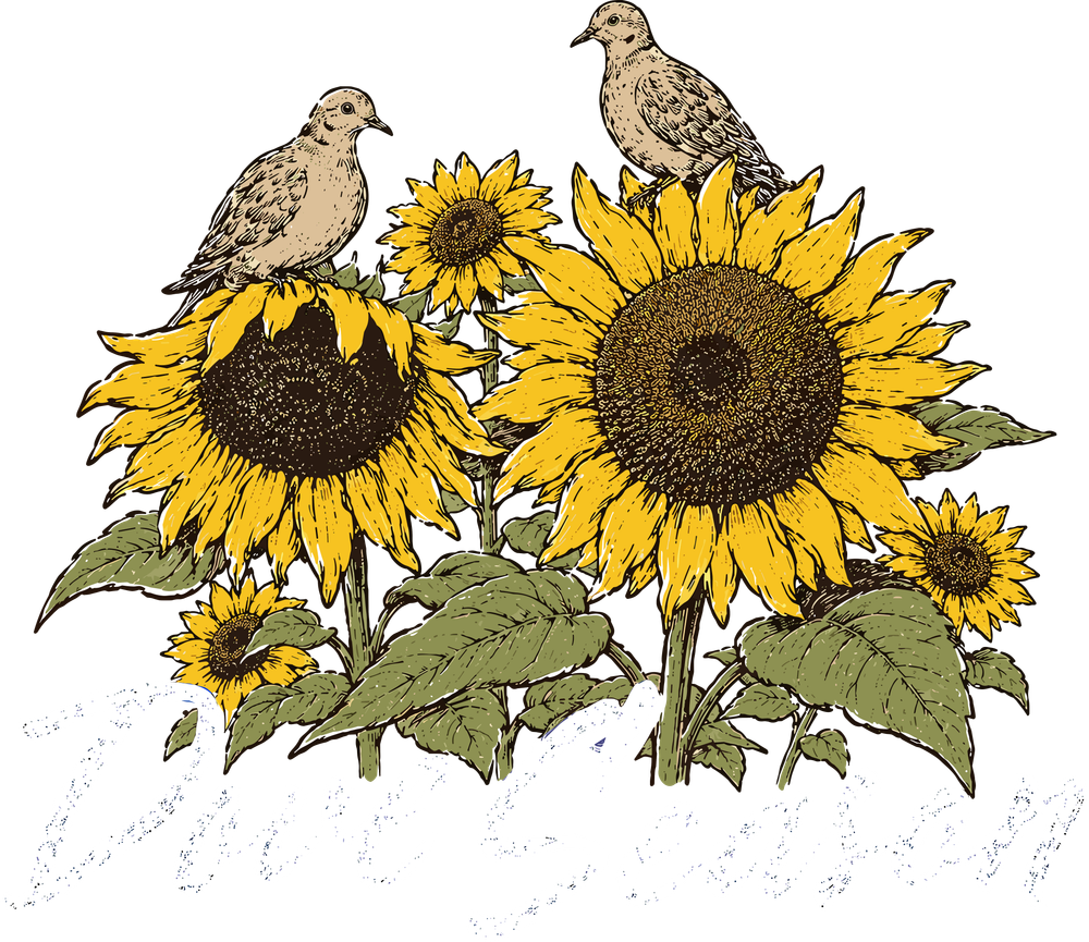 Dove Season - Hunting DTF Transfers
